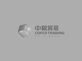 龙8头号玩家(国际)官方网站